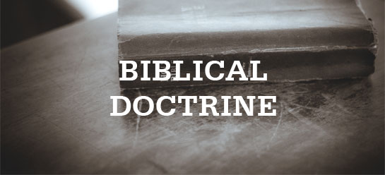 Bible